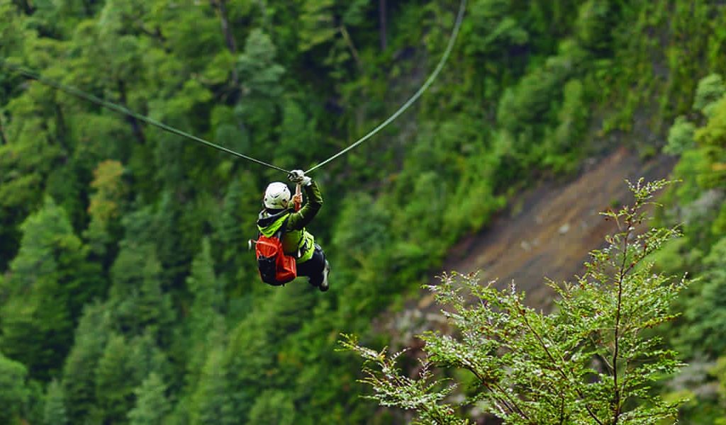Canopy