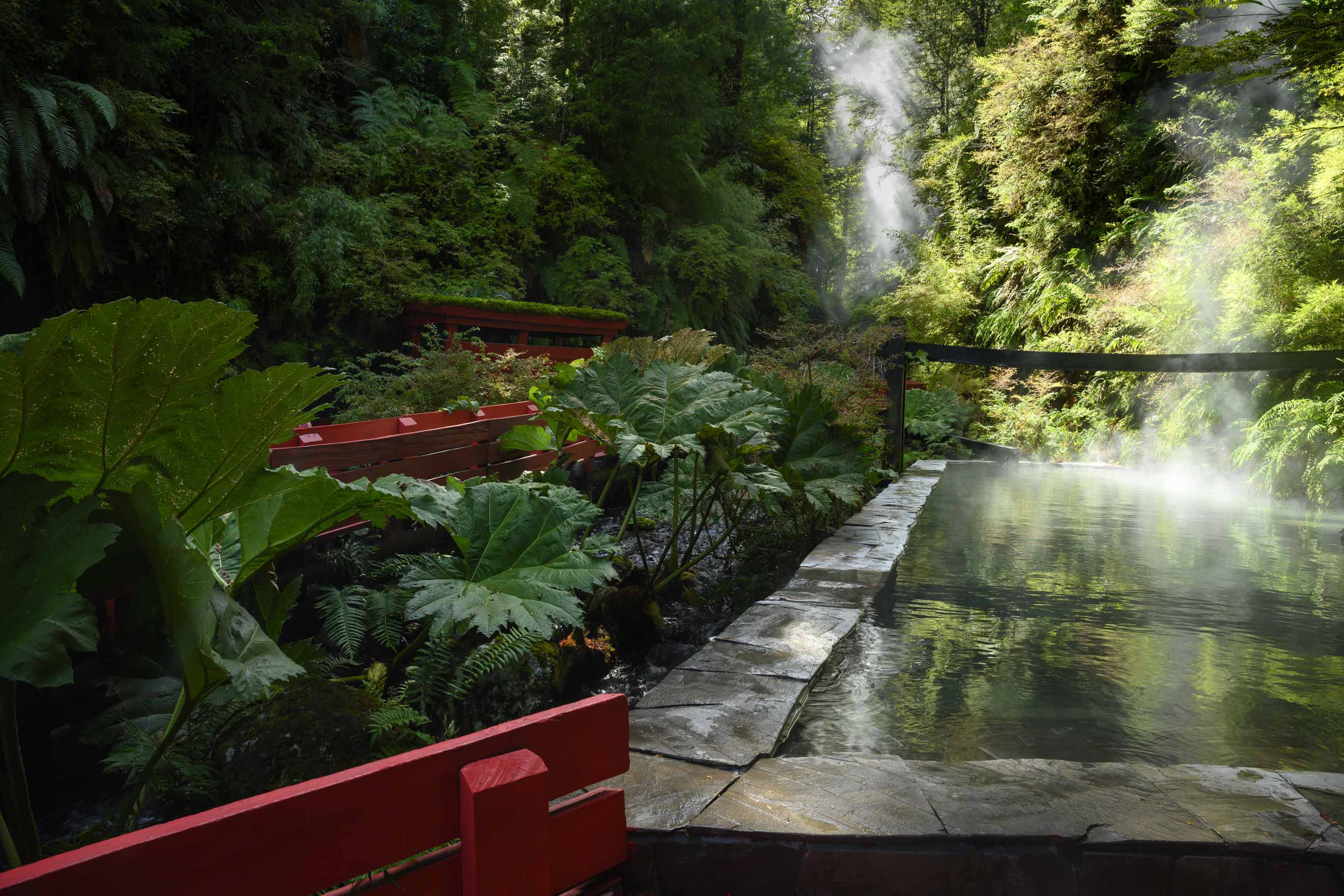 Termas